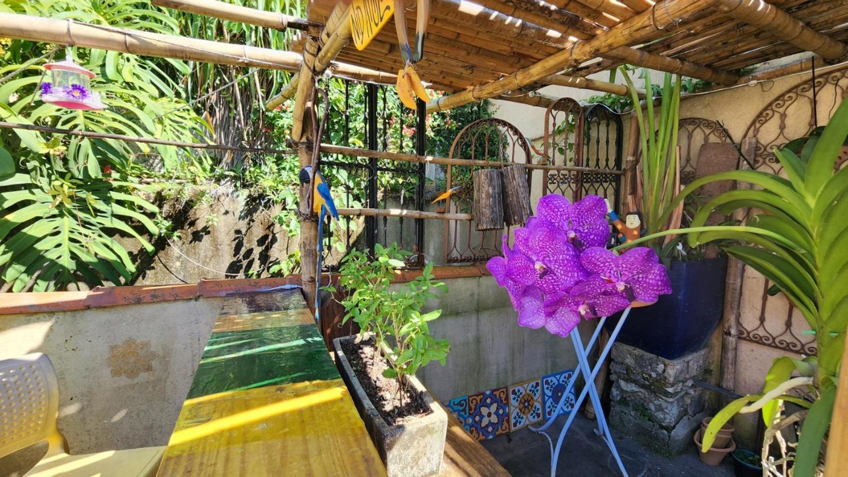 Bed and breakfast Nid Aigle 3 *